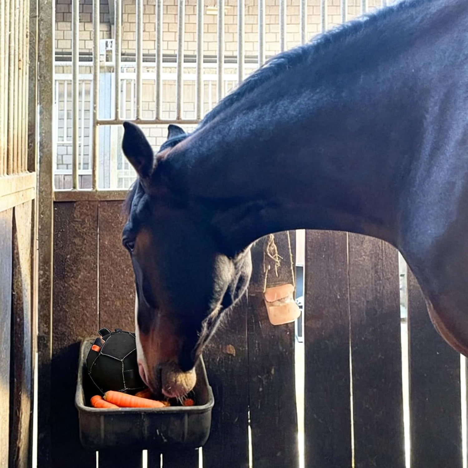 Durability Oxford Cloth Horse Training Ball Hanging Carrot Food Toy for Interactively Playing and Mental High Capacity Equine Enrichment Toy