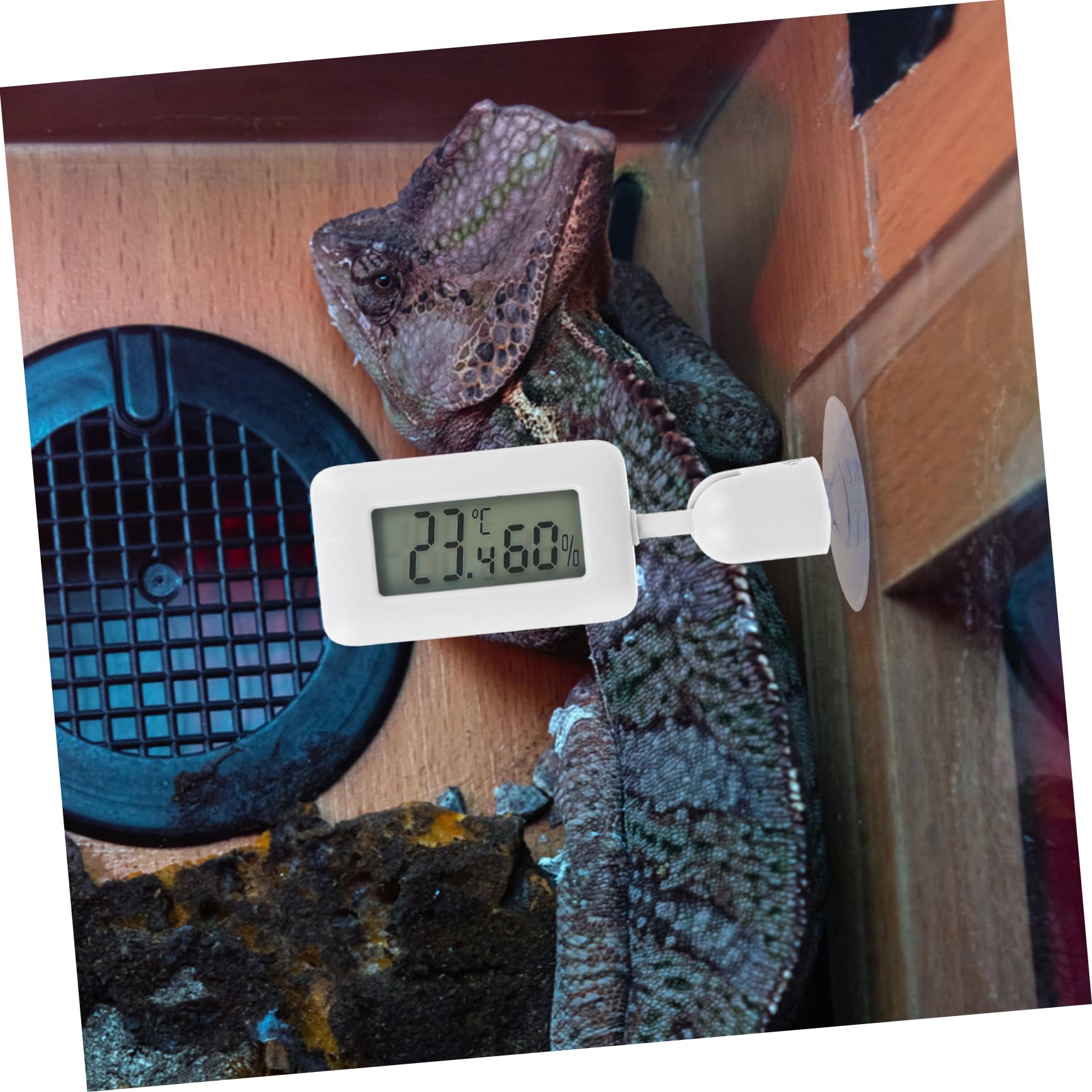 DOITOOL 4piezas Digital Para Reptiles Medidor De Temperatura Rotatorio Succión Para Acuarios y Terrarios Dispositivo De Medición De Temperatura Para Tortugas y Lagartos