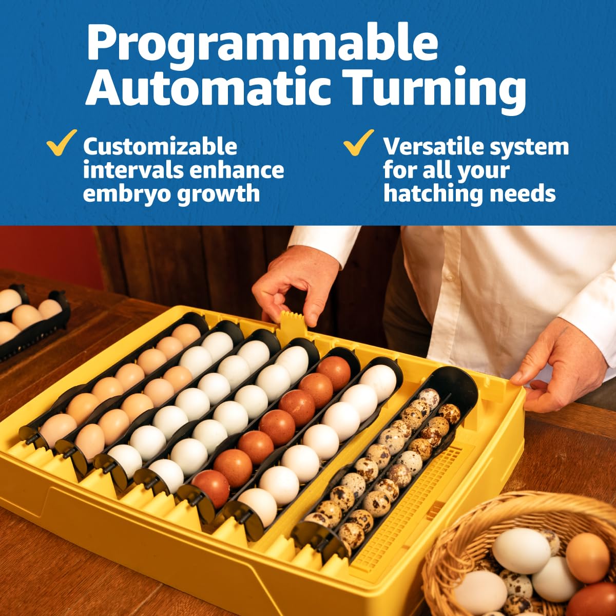 Brinsea Ovation 56 EX 56-Egg Incubator with Automatic Humidity Control - Incubators for Hatching Eggs with Digital Alarms - Programmable Turning for Chicken and Duck