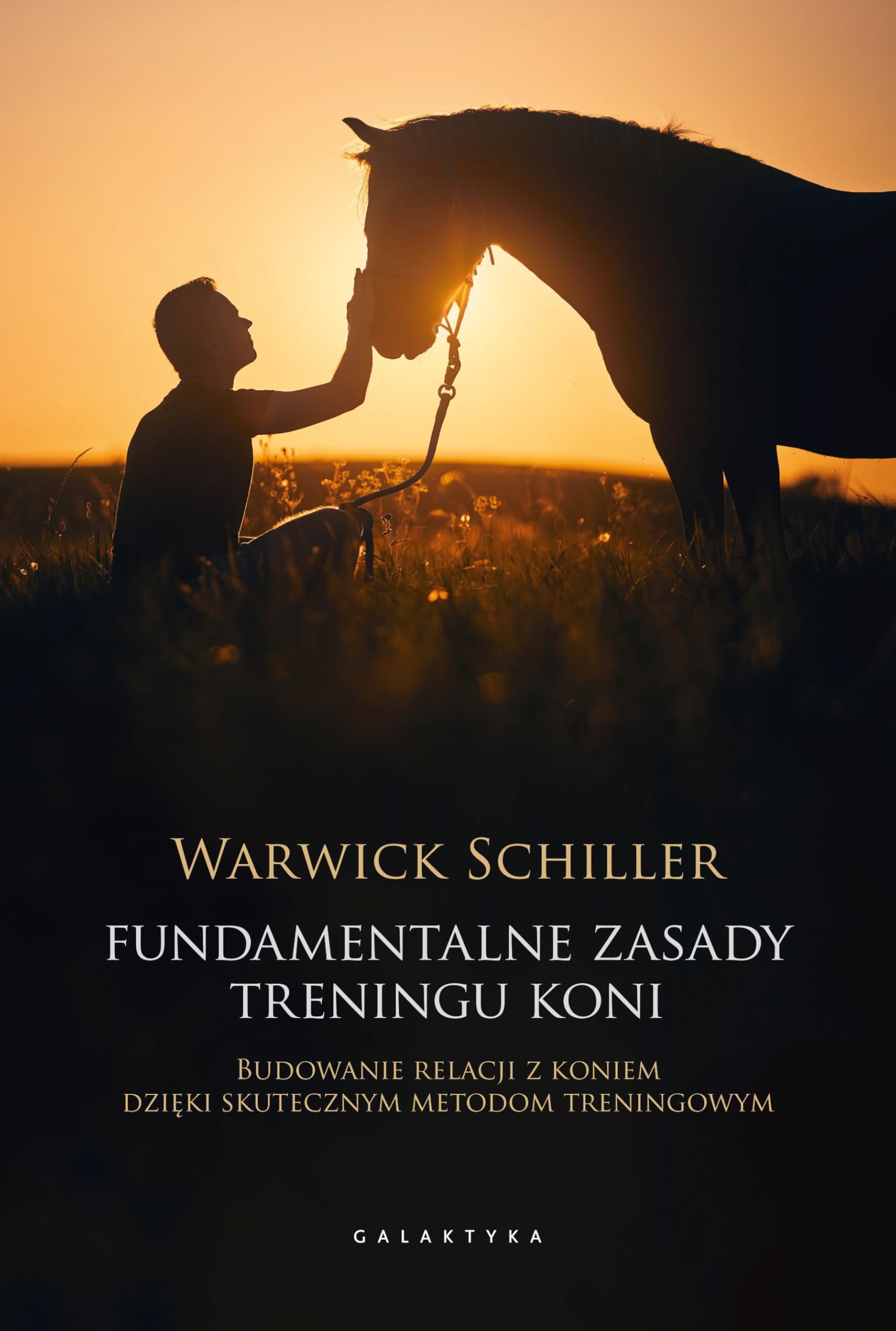Fundamentalne zasady treningu koni: Budowanie relacji z koniem dzięki skutecznym metodom treningowym