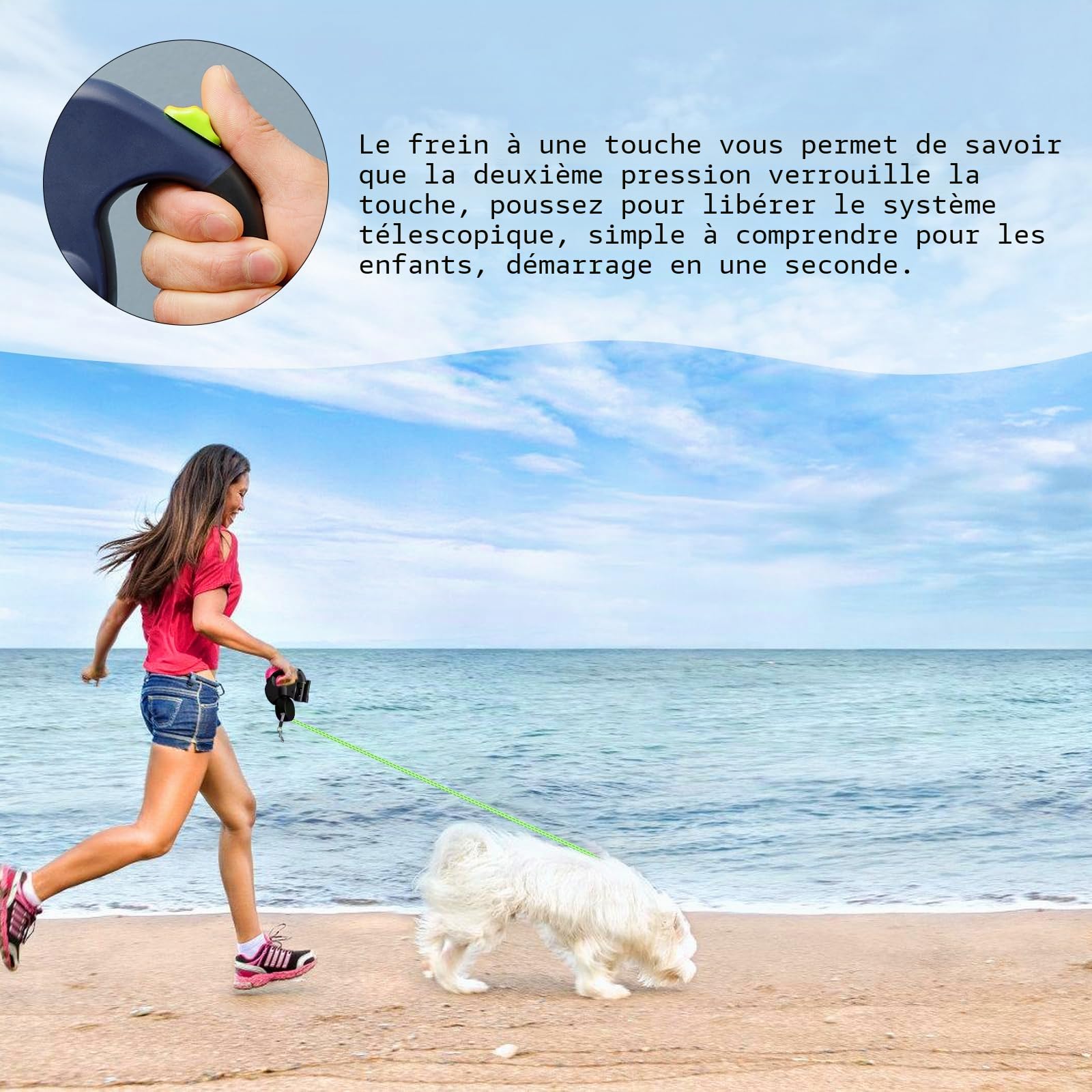 Laisse pour Chien, Laisse Chien Enrouleur, Double Laisse pour 2 Chiens, Enrouleur, Extensible, Rétractable, 3 Metres, 360º sans Enchevetrement, pour Moyens et Grands Chiens