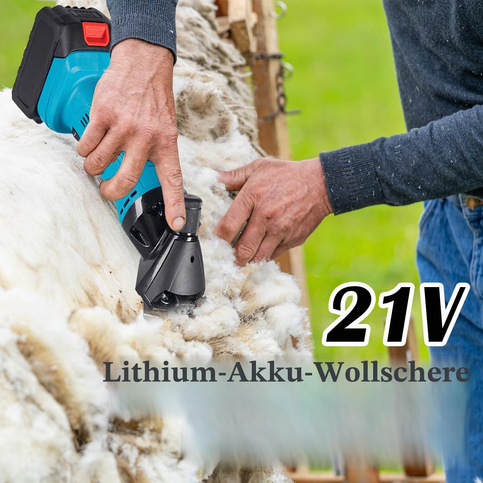 Schafschermaschine, 3000Mah Schermaschine Pferd 2400r/min Kabellos Schafschermaschine Akku tragbar 6-Gang Schäfer Schermaschine mit 2 Akkus für Schafen Ziegen Alpakas Ochse (13 gerade Zähne)
