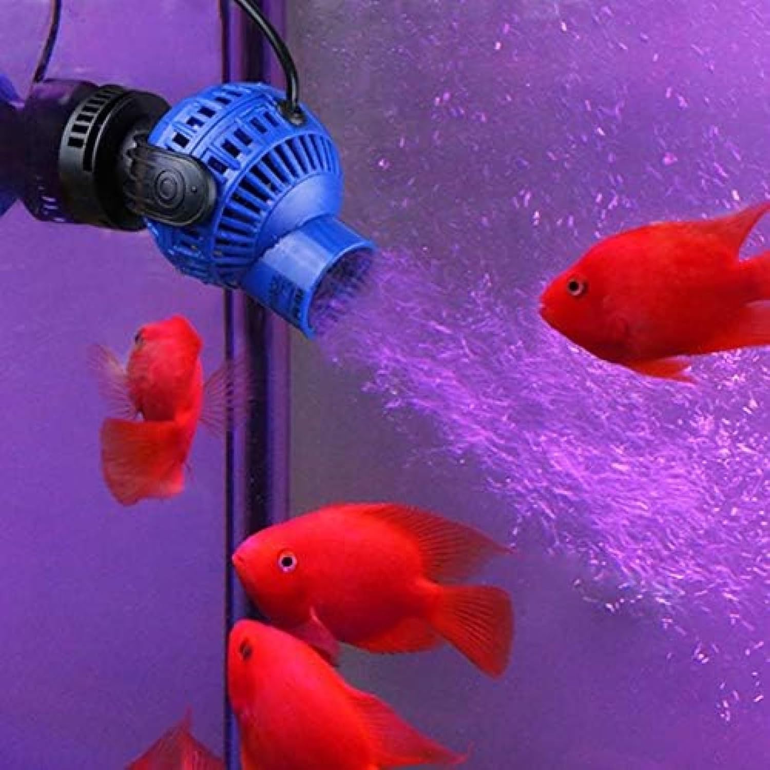 Acquario Fish Tank 360 ° Acqua Wave Maker Pompa, Powerhead Magnet Base Wave Maker, Flusso d'Acqua Surf Pump Pond per Acquario Fish Tank, Blue, JVP132