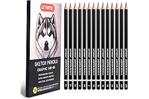 Pro Art: Professional Drawing Sketching Pencil Set for Artists