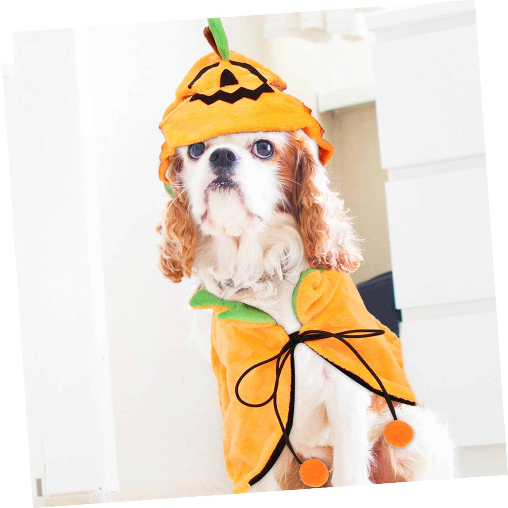 POPETPOP 3 Set Mantello Per Animali Domestici Vestiti Di Zucca Per Cani Costume Da Cane Mantello Per Cappello Da Compagnia Animale Domestico a Doppia Faccia Cappello Per Gatto Peluche