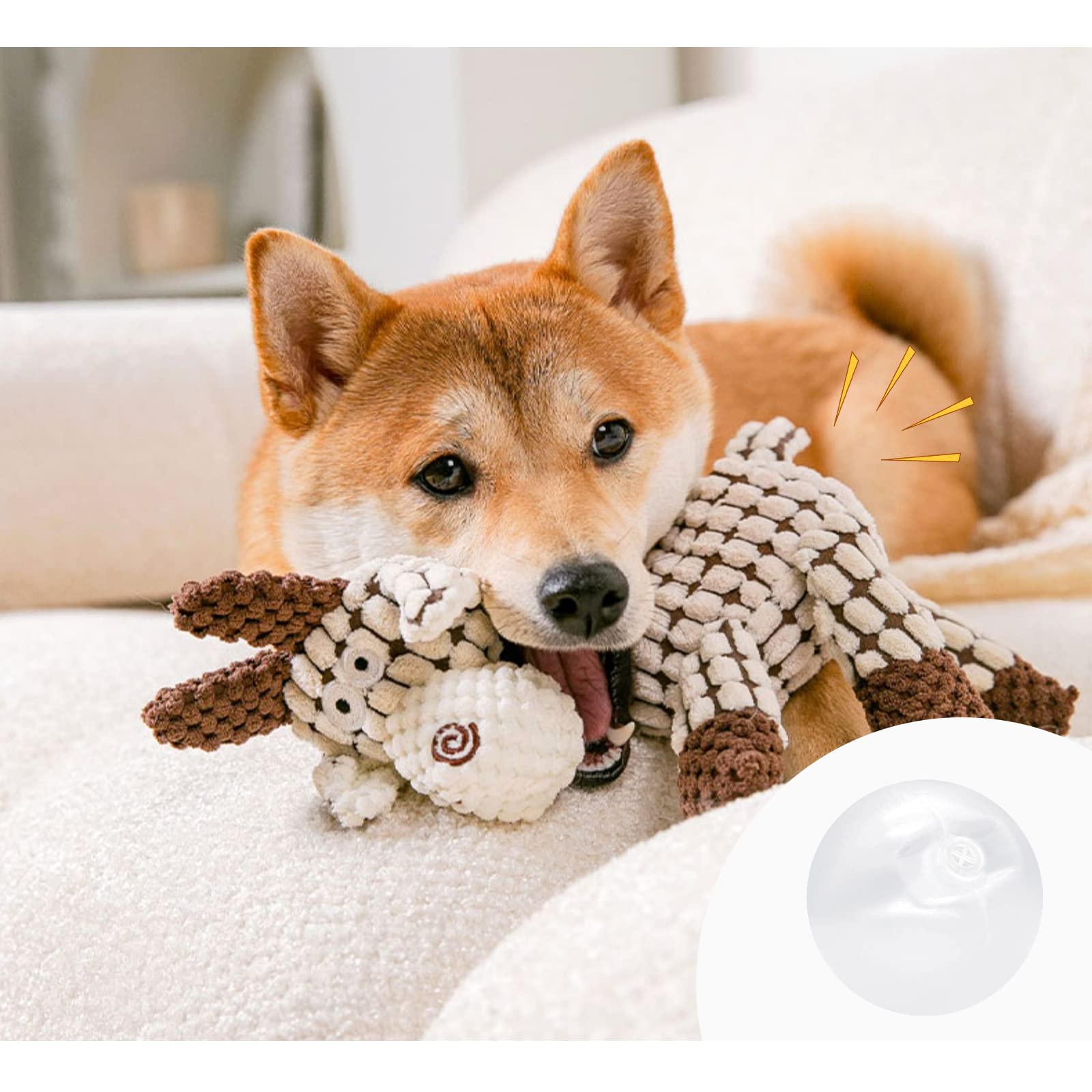 Amazon.co.jp: スクイーカー 10個 35mm プラスチックスクイーカー 犬の