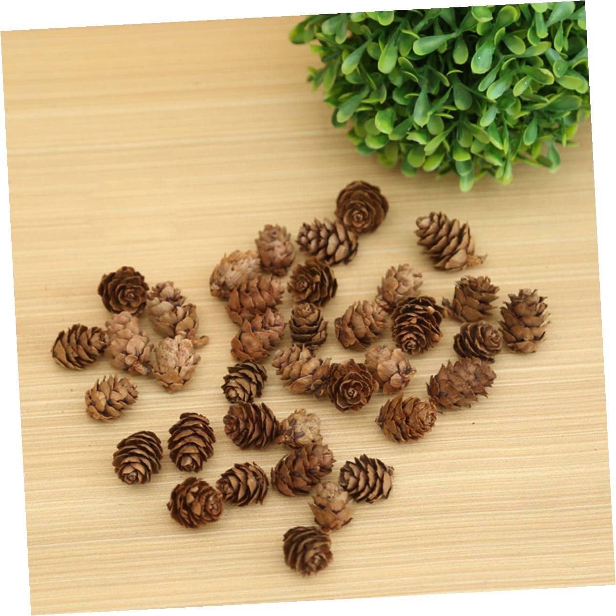 Veemoon 210 Pezzi Pigne di Pino Naturali 2-3 Cm per Decorazioni Natalizie del Ringraziamento, Ornamentali in Plastica per Arti e Lavori Manuali in Casa