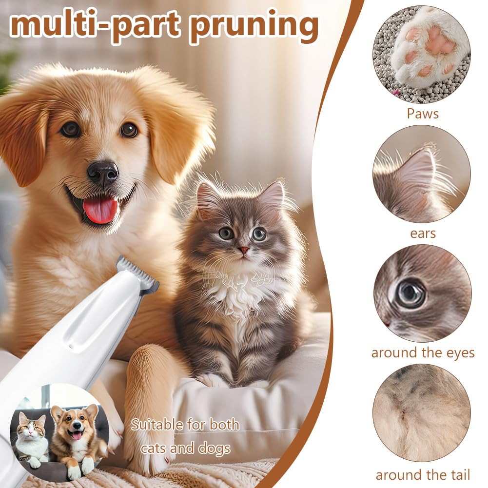 Tondeuse pour Pattes Chien Silencieuse, Tondeuse pour Chien et Chat, Lames Céramique et Inox, LED Intégrée, Rechargeable USB, Étanche, Toilettage Zones Sensibles pour Pattes, Yeux, Oreilles
