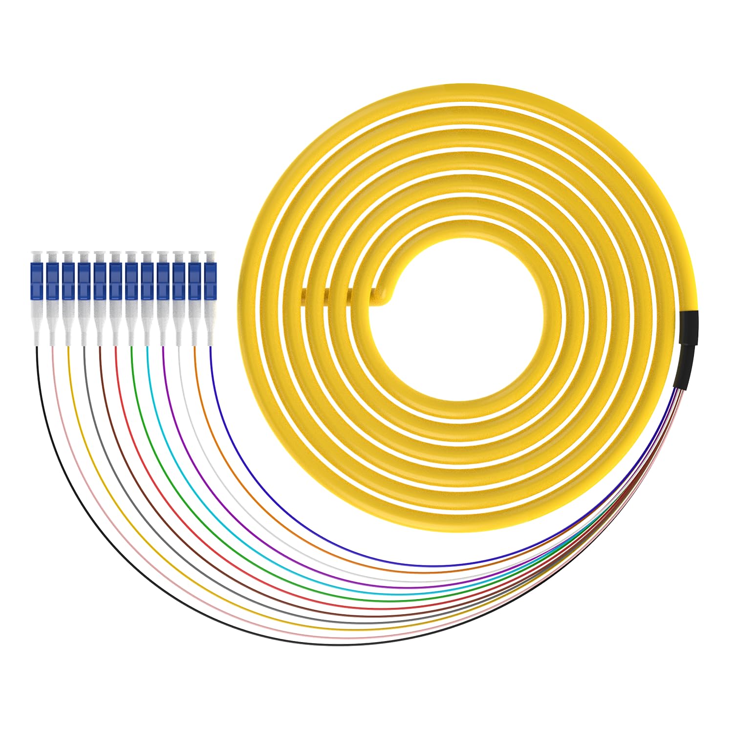 1.5m (5ft) LC-UPC 12 Strand Single Mode 9/125 Fiber Optic Pigtail, Color-Coded OS1/OS2 Cable with Ceramic Ferrule for Fusion Splicing, Ideal for OLT,