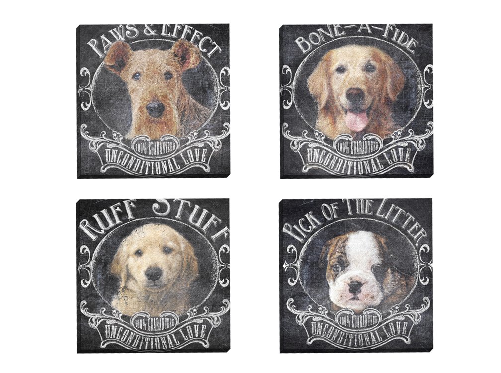 Portfolio Canvas Decor Framed and Stretched Ready to Hang Chalkboard-Bone-A-Fide 1 Canvas Wall Art by IHD Studio (Set of 4), 12 x 12"/Large