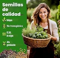 Vista 2 de Bóveda de 15 semillas de hierbas culinarias – Más de 4500 semillas criollas sin transgénicos para plantar – Jardín de hierbas para interiores