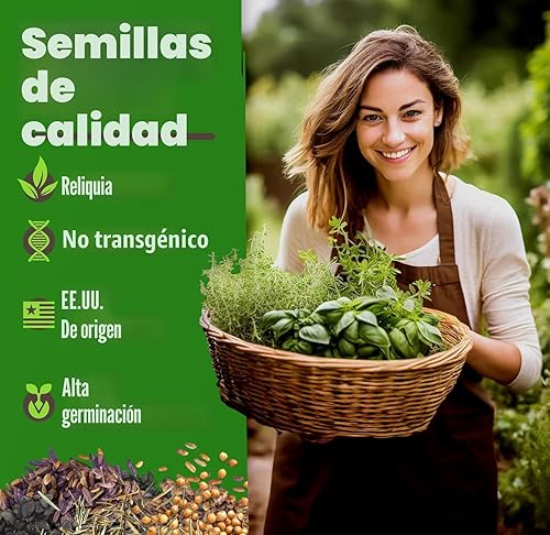 Miniatura 2 de Bóveda de 15 semillas de hierbas culinarias – Más de 4500 semillas criollas sin transgénicos para plantar – Jardín de hierbas para interiores