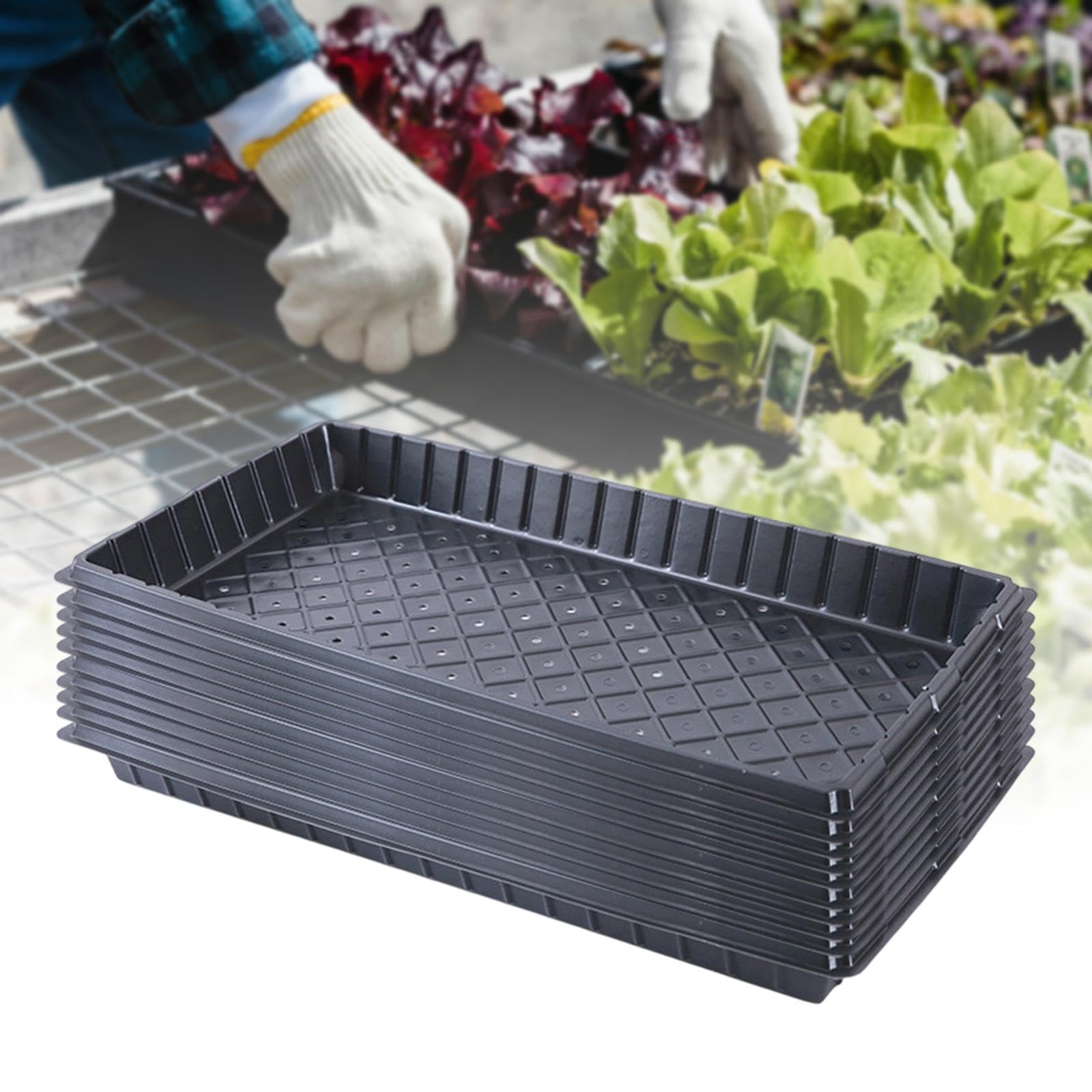 Colcolo 10 Vassoi per Piantine Portatili E Riutilizzabili per Patio, Giardino E Interni, con Foro
