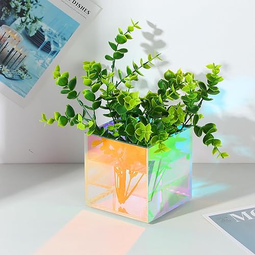 Miniatura 8 de Meanplan Jarrón transparente iridiscente de 6 piezas, diseño de arco iris, moderno jarrón de acrílico, colorido jarrón cuadrado con forma de cubo