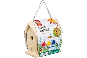 Beetle & Bee Backyard Birdhouse Kit for Creative Kids - Perfect Gift...