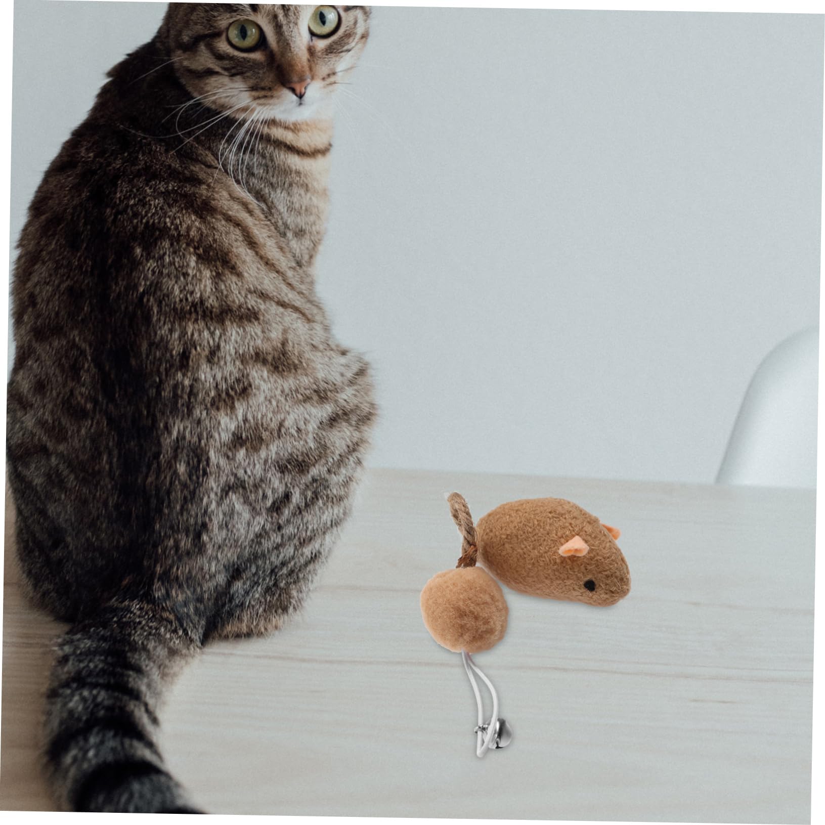 6 Pièces Souris avec Accessoires Interactifs pour Actifs Blancs