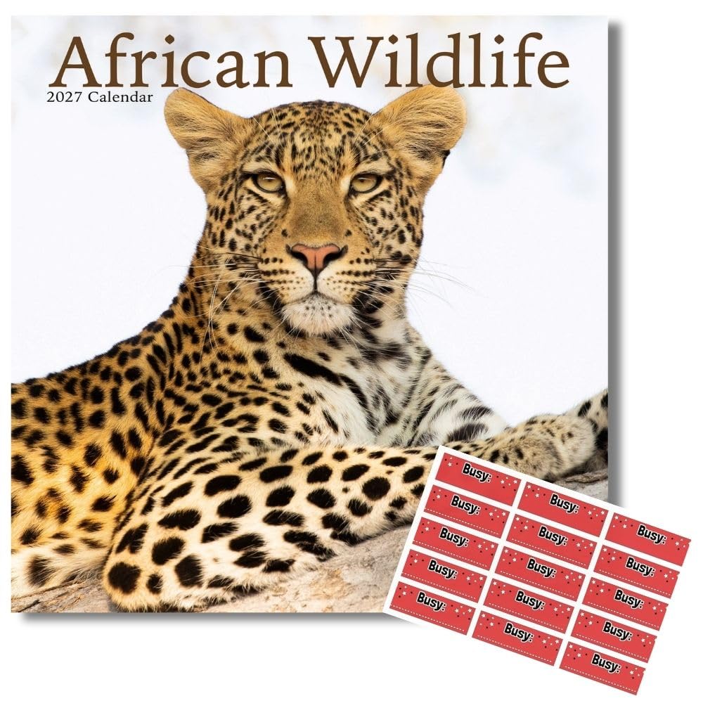 Avonside African Wildlife 2027 Calendar with Organisational Stickers, 16 Month Square Wall Calendar (Sept 2026 - Dec 2027), UK Planner For Animal Lovers, Home or Office, 11.6x11.6 in