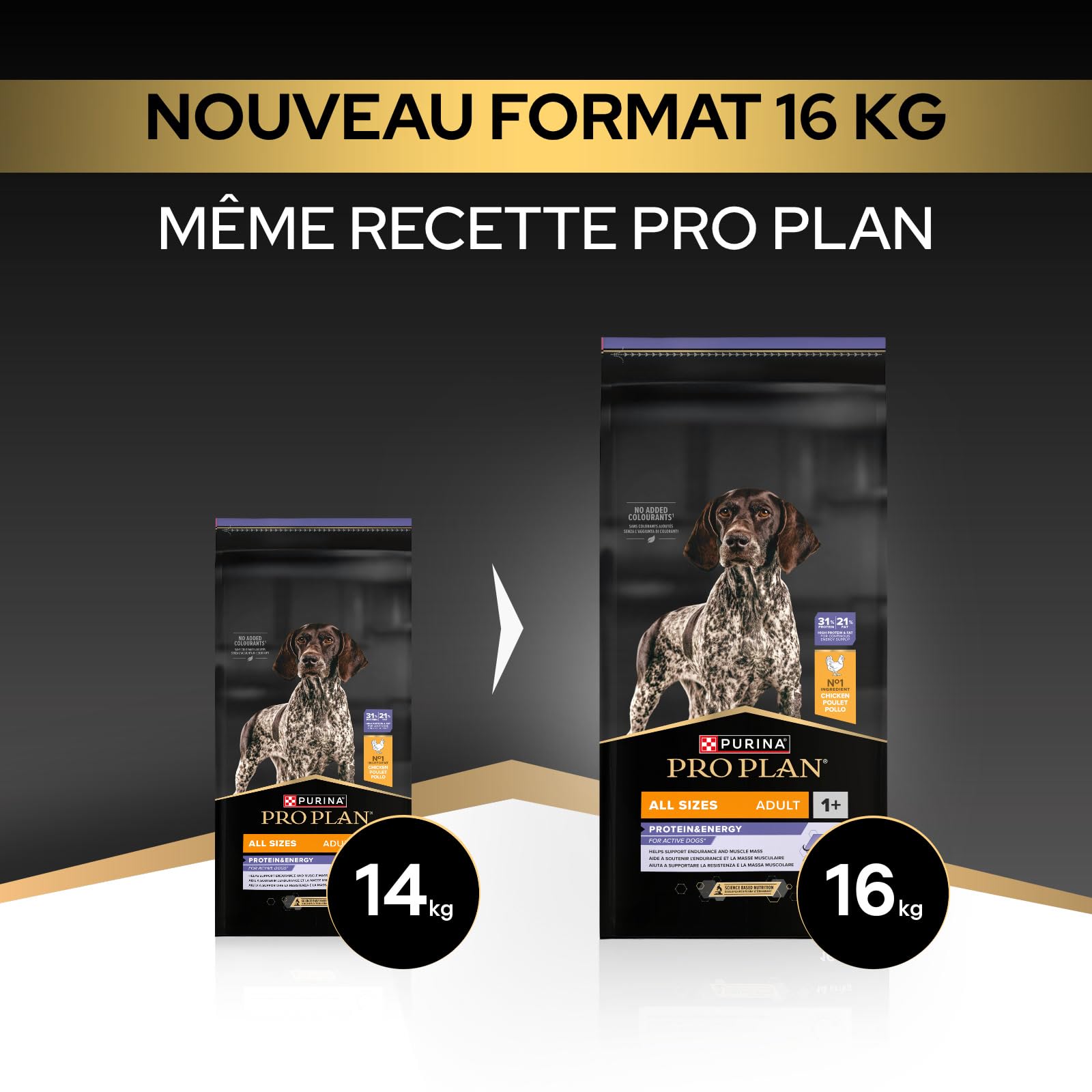 Purina Pro Plan Protein & Energy - Croquettes Chien Adulte au Poulet, 16 kg | Croquettes Chien Saveur Poulet - Contient 60% de protéines animales pour chiens adultes actifs - Alimentation Chien