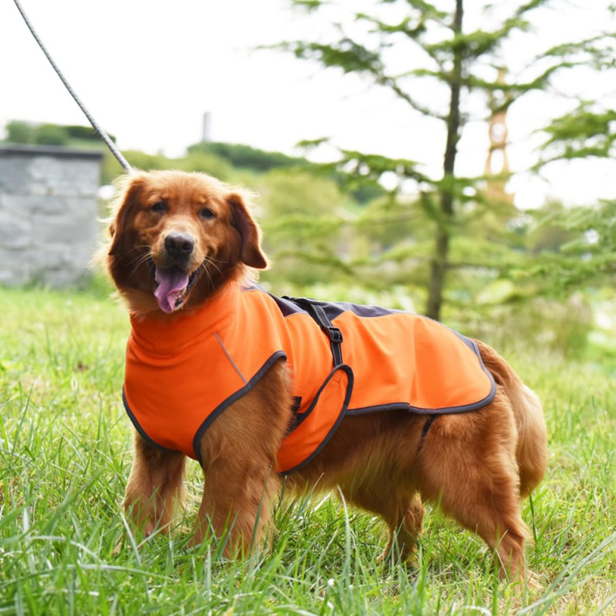 Operitacx 2 Pièces Manteau pour Chien Imperméable et Chaud, Gilet