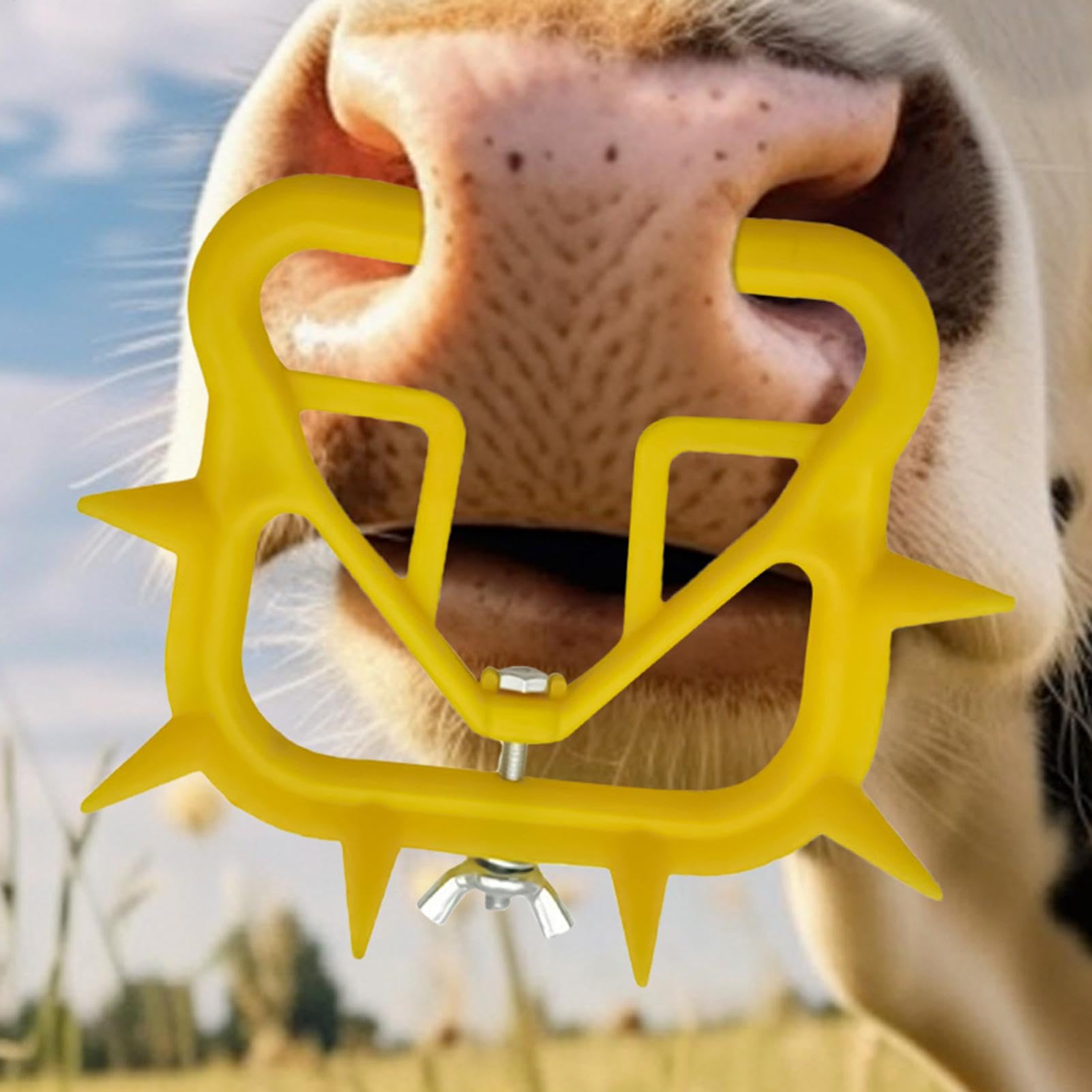 Anello al naso per lo svezzamento del vitello, svezzamento del vitello con di naso di mucca - 10 pezzi Anello per naso per bestiame Vitello Mucca Svezzatore per bestiame,Svezzamento per vitelli Quiet