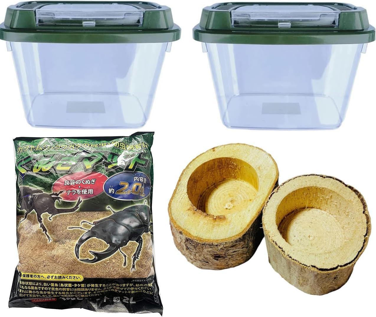Amazon.co.jp: クワガタムシ カブトムシ飼育育成セット 【 昆虫飼育