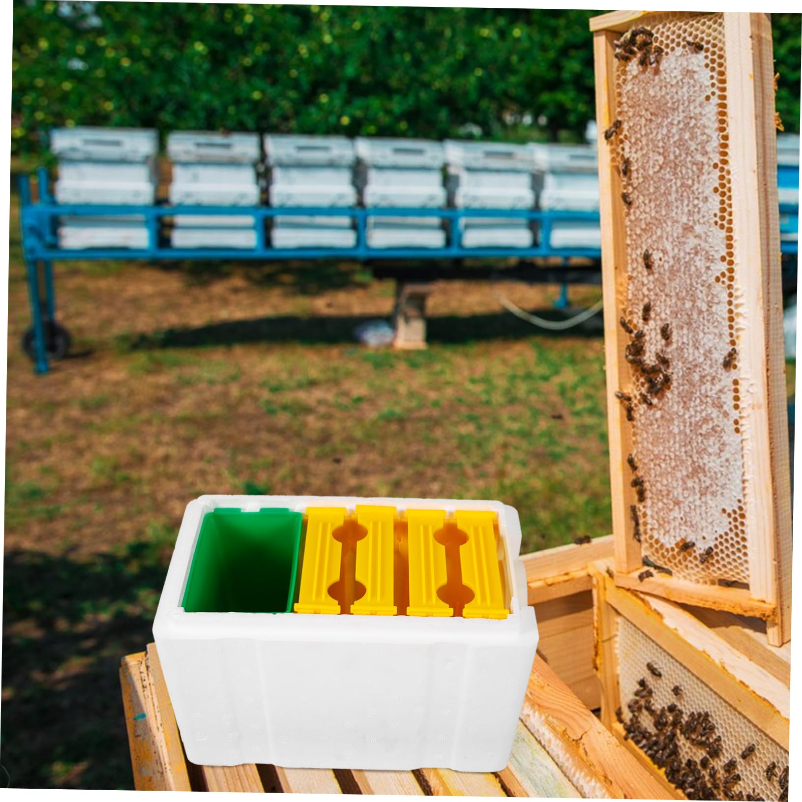 UPKOCH Bienenfütterungsbox Stabilem Kunststoff und Schaumstoff Praktische Bienenzuchtbox für Effektive Bienenvermehrung Leicht und für Imker und Bienenhaltung