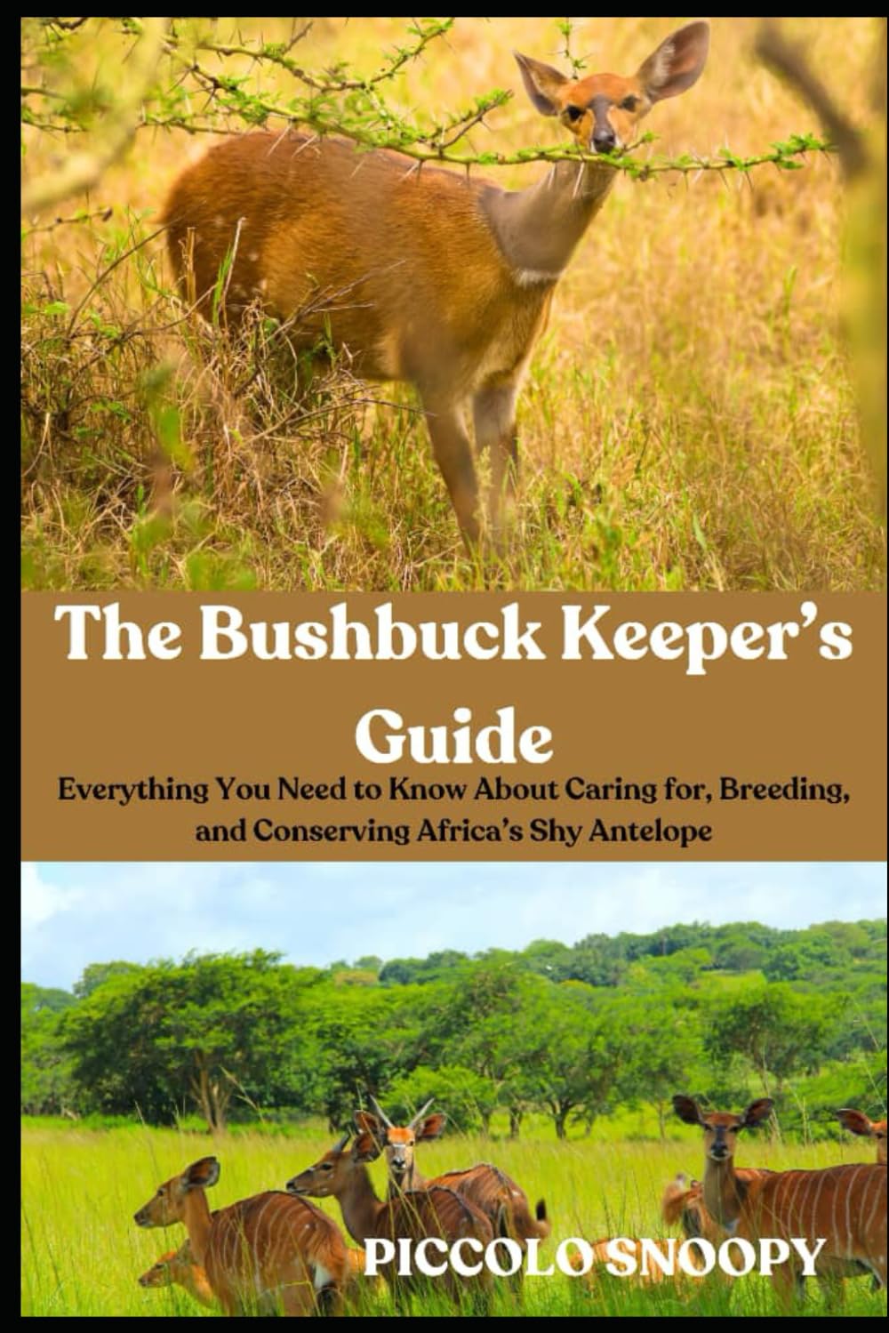 The Bush buck Keeper’s Guide: Everything You Need to Know About Caring for, Breeding, and Conserving Africa’s Shy Antelope