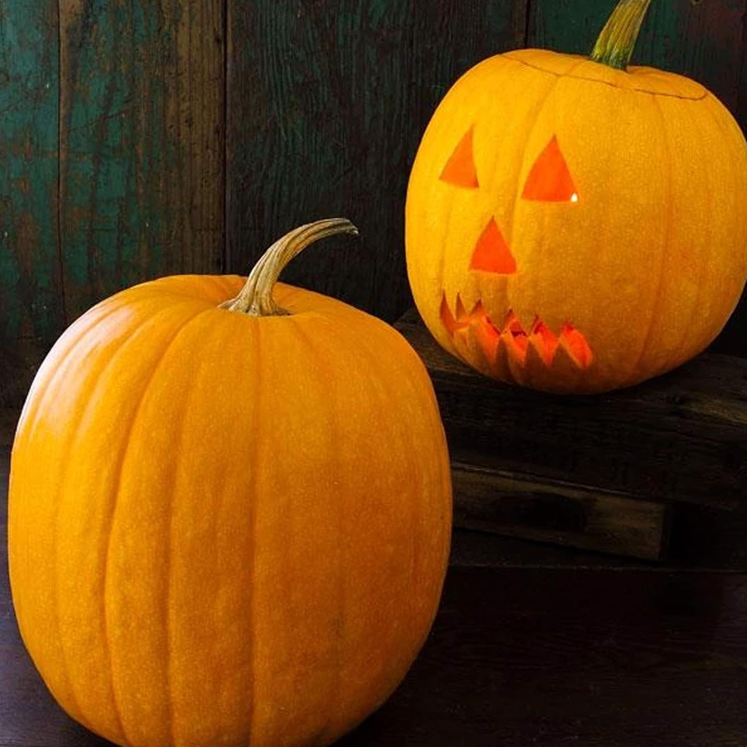 Organic Jack O'Lantern Pumpkin Seed - 1 LB Bulk ~3,600 Seeds - Non-GMO, Heirloom, Open Pollinated - Vegetable Gardening Seeds - Halloween