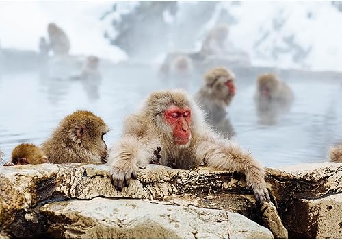 Miniatura 40 de wall26 - Coche rojo vintage en la calle - Mural de pared extraíble | Papel tapiz autoadhesivo grande - 66x96 pulgadas obra de arte 22,obra de arte