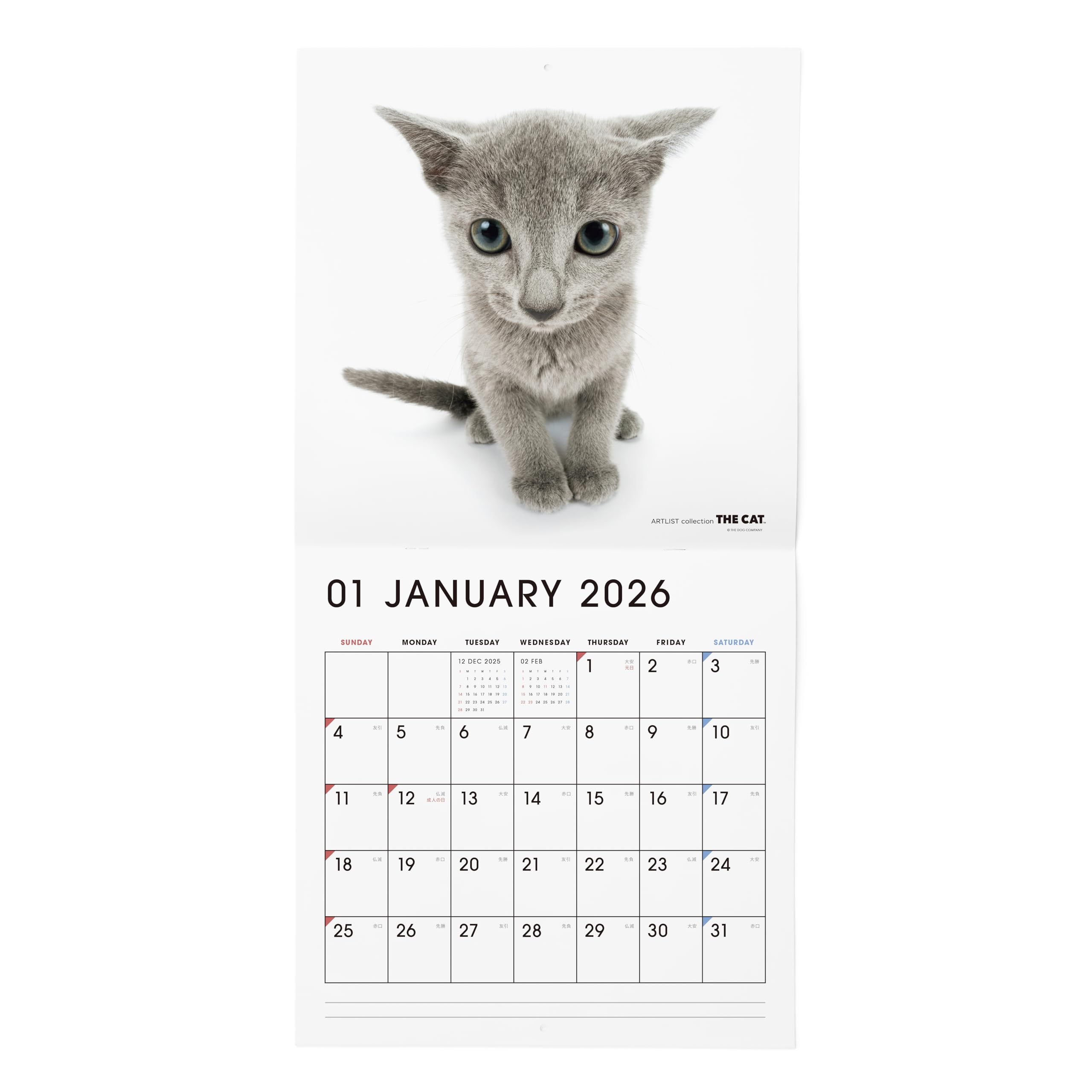 Amazon | THE CAT カレンダー 2026 壁掛け 大判サイズ [ロシアン