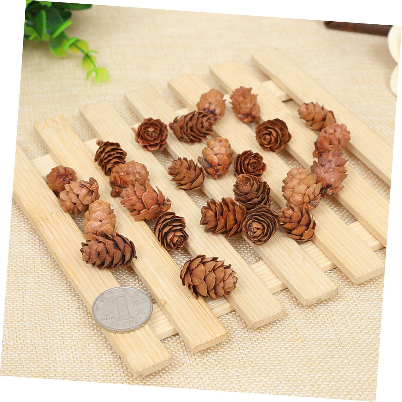 100 Pezzi Decorazioni in Legno a Forma di Cono di Pino Tradizionali per Casa e Negozio, Addobbi Natalizi Rustici e Decorativi per Interni e Feste