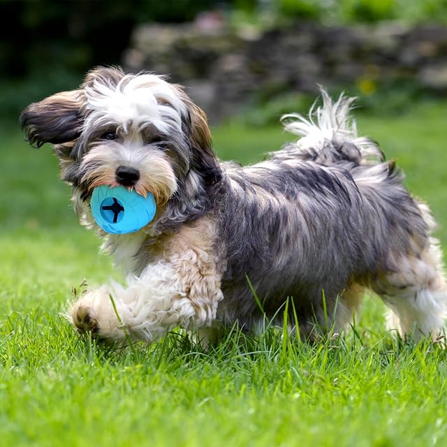 Foto 8 de 8 de Nobleza Pelota Perros, Pelota de Juguete para Perros, Dispensador de Aperitivos Interactivo Mascotas