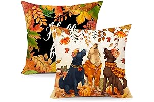 4TH Emotion Fall Dog Leaves Decorative Throw Pillow Covers Autumn Cute Monitor
