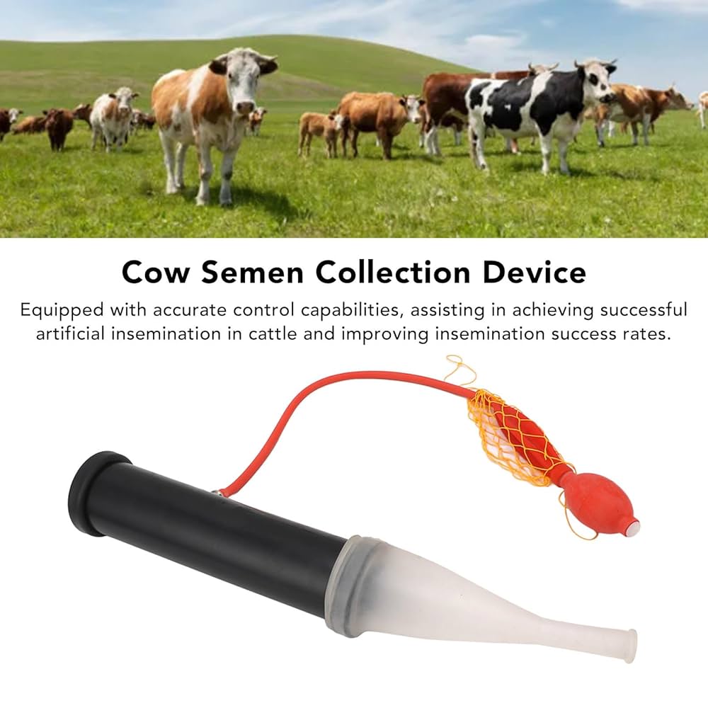 Yigitni oyoq osti qiladi