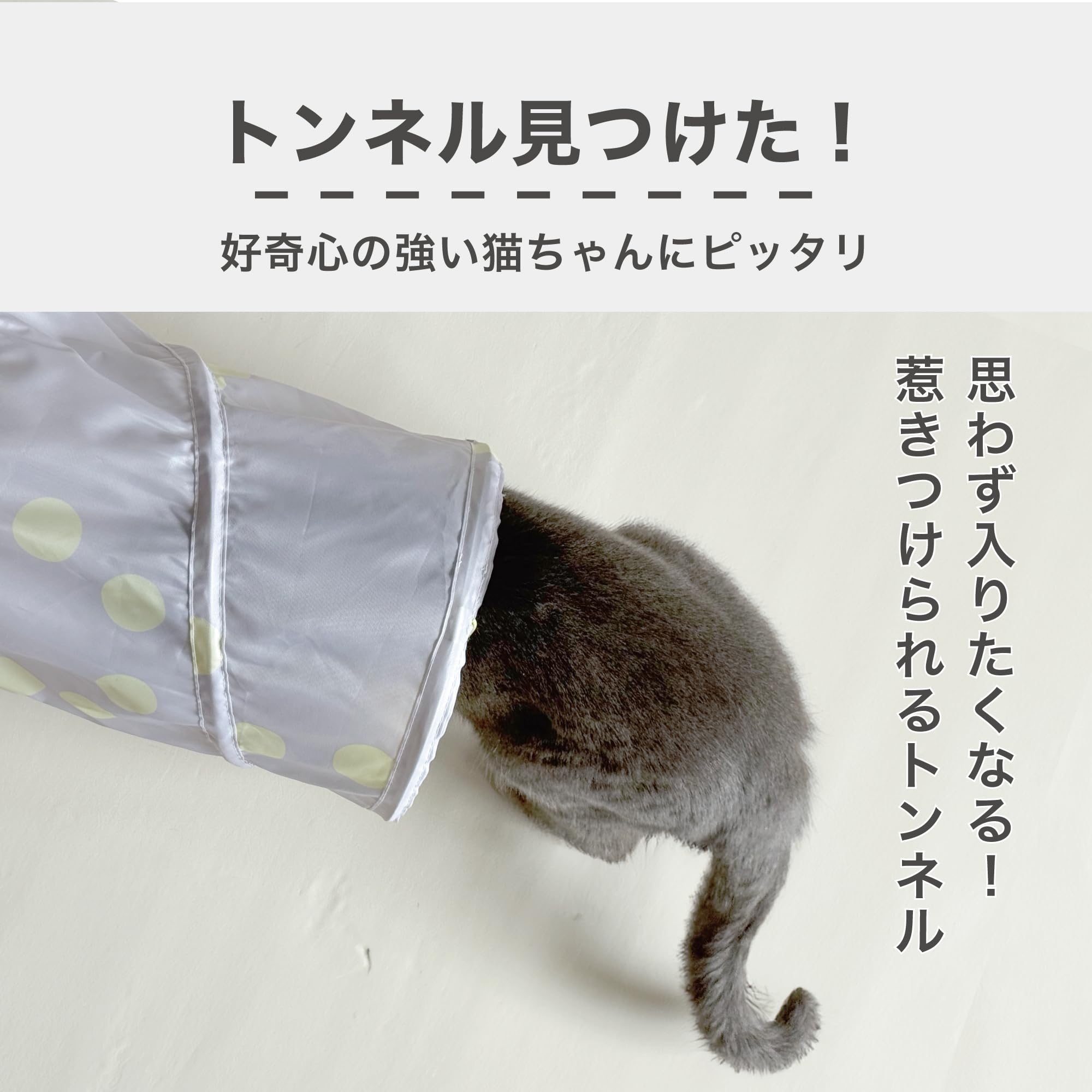 Amazon.co.jp: MeowMate 猫トンネル S型 全長130cmのロングタイプ 猫用
