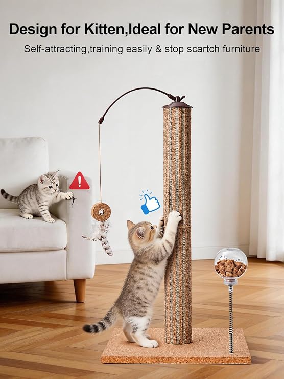 Cat Scratching Post with Snack Ball & Feather Toys for Kitten