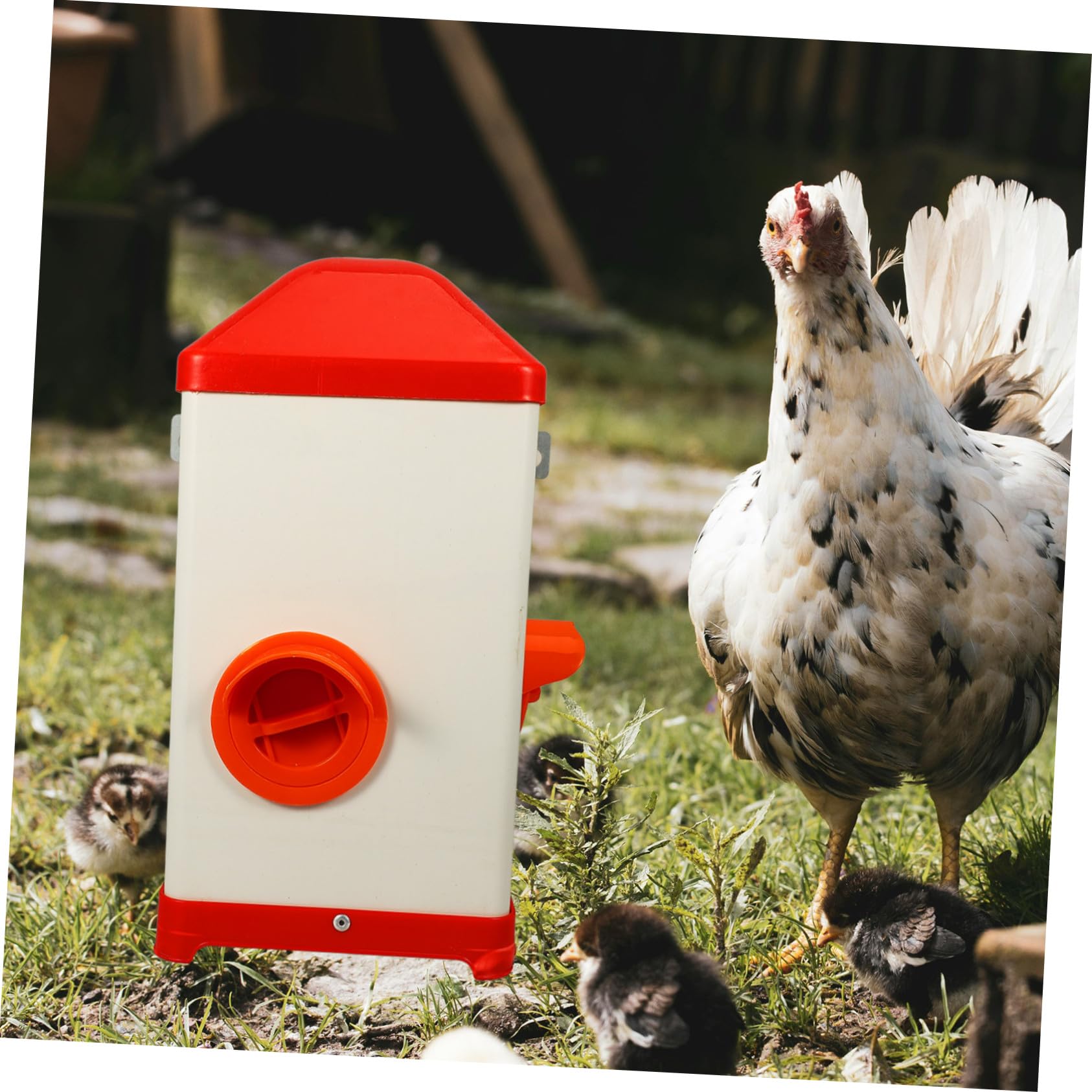 BESTonZON Mangeoire Poule Réutilisable Résistante Soleil et Aux Chocs Distributeur Alimentaire Pratique pour Volailles