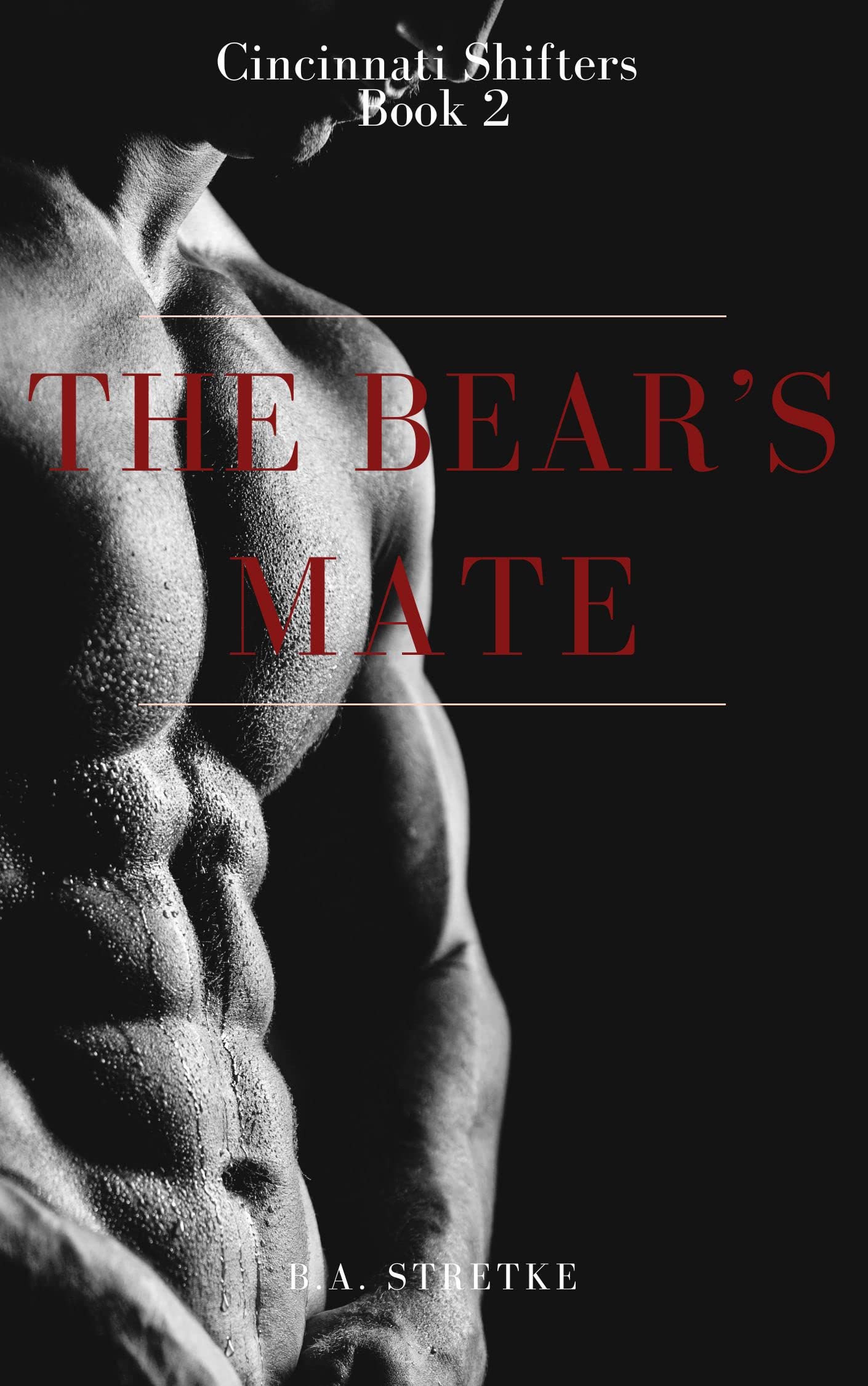 The Bear's Mate: Cincinnati Shifters Book 2