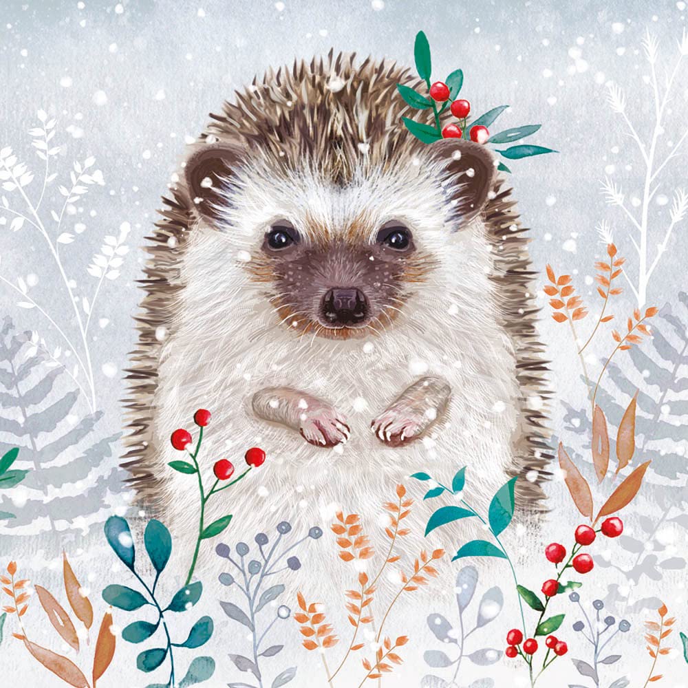 Weihnachtskarten-Set „Snowy Animals“ – 20 Karten, 4 Motive, Für Wohltätige Zwecke