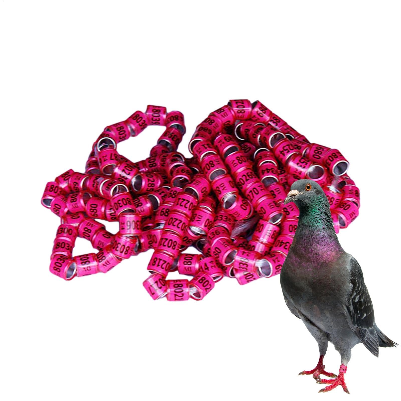 Amazon | 2025 鳩の足輪 - オウムの識別リング、鳩の足輪、鳥の足輪