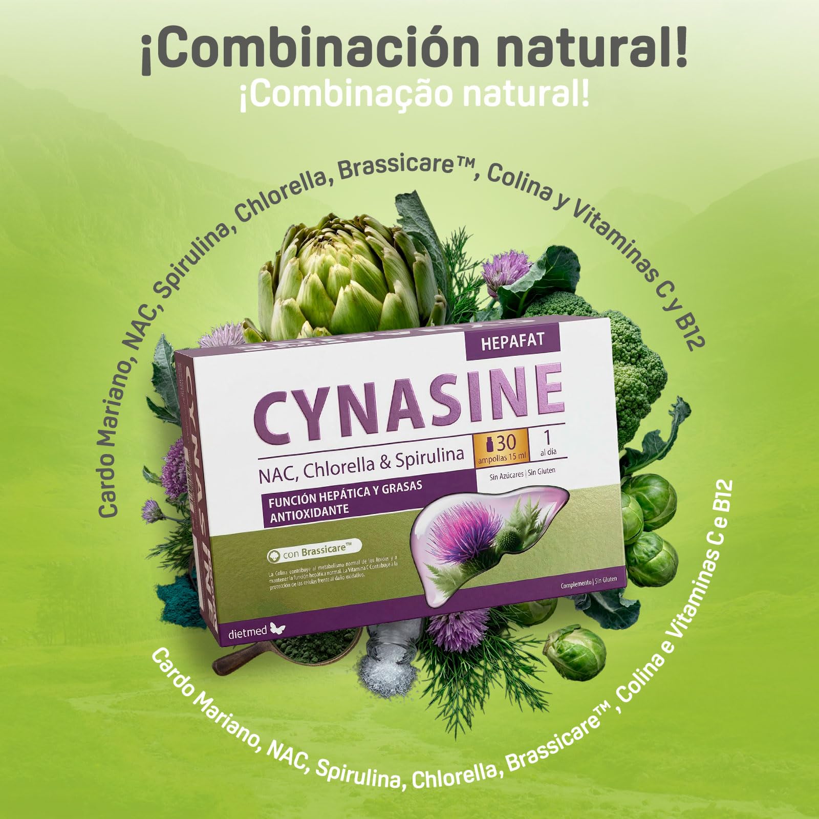 Cynasine Hepafat - Cardo Mariano 500 mg con N-Acetilcisteína y Colina - Función Hepática y Metabolismo de los Lípidos - Protección Celular y Acción Antioxidante - 30 Ampollas Bebibles de 15 ml DietMe