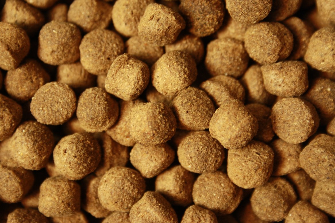 Koifutter Schwimmfutter 8mm Koi Pellets Ganzjahresfutter für große Koi Jumbo Koi leicht verdauliches Koi-Fischfutter arktische Rohstoffe Tomodachi Koi-Schwimmfutter 8mm 15kg