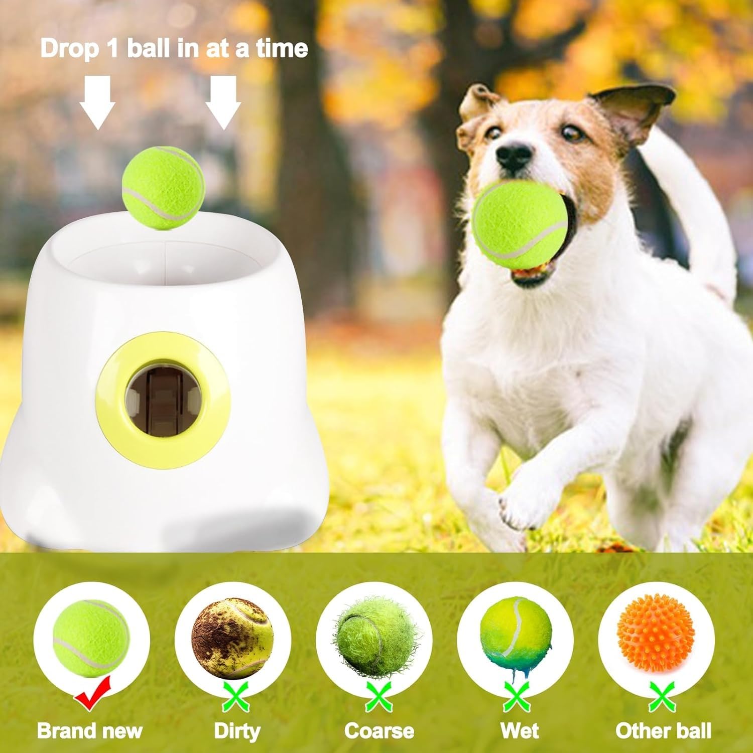 Medpets - iDog - Met deze automatische ballenwerper heeft uw trouwe