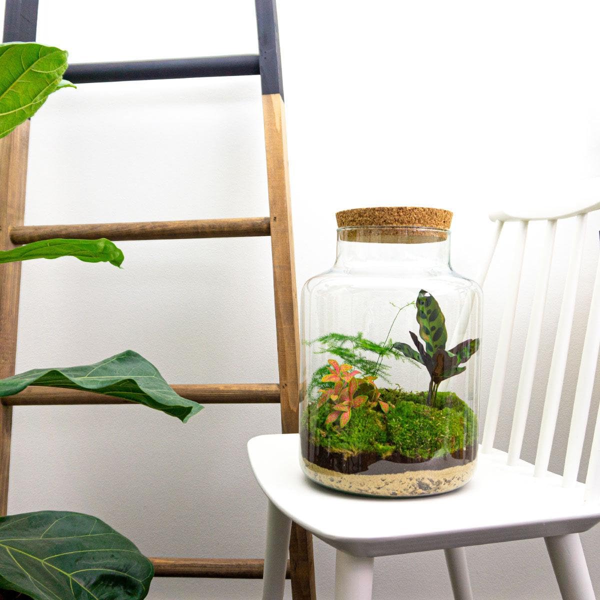 Pflanzen Terrarium aus Glas, Deko für Büro, Milky, Ø 21x30 cm Set mit LED