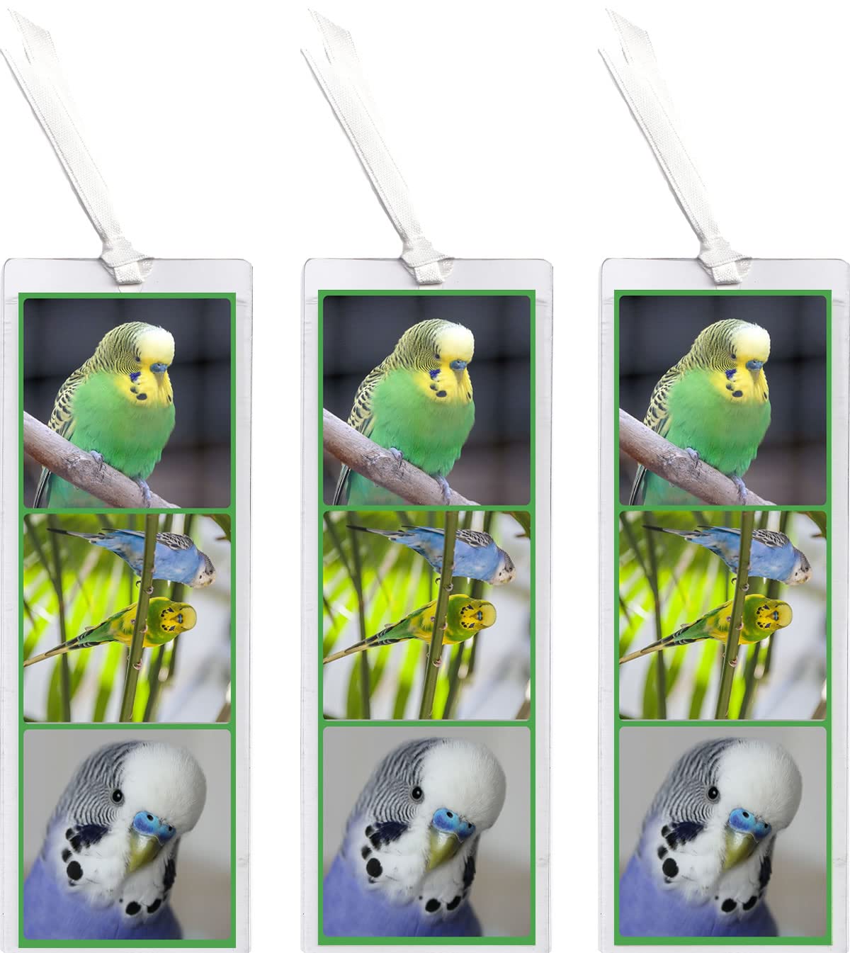 Budgie/Budgies - Bookmark 155 X 55 mm Laminated Wth Tasel