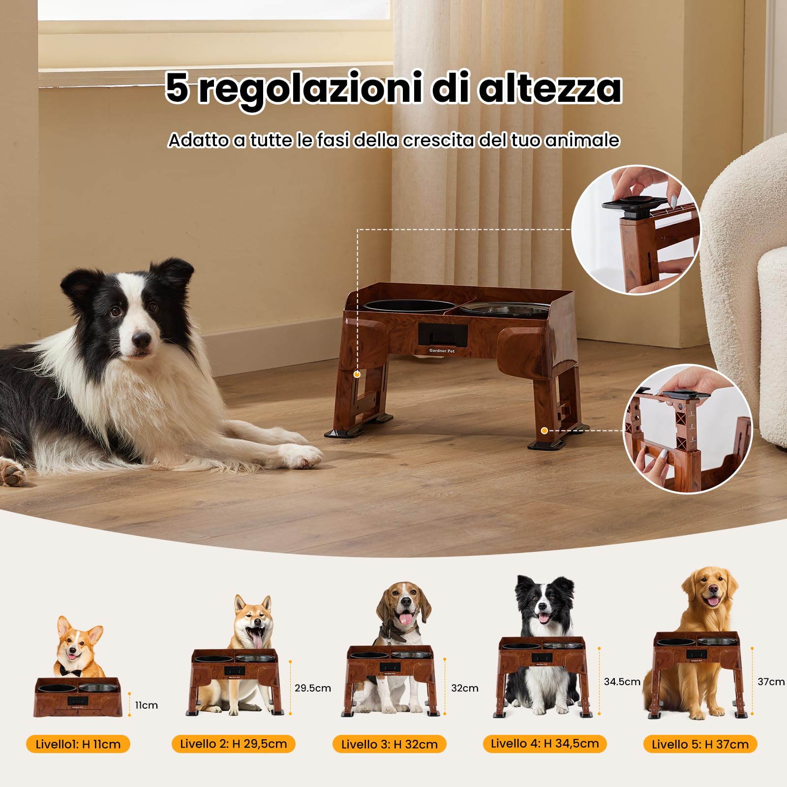 Gardner Pet Set di 2 Ciotole Rialzate per Cani, Colore Legno | Regolabili in 5 Altezze, Ciotola Anti-Ingozzamento, Ciotola Acqua Inox, Supporto Antiscivolo e Antischizzo