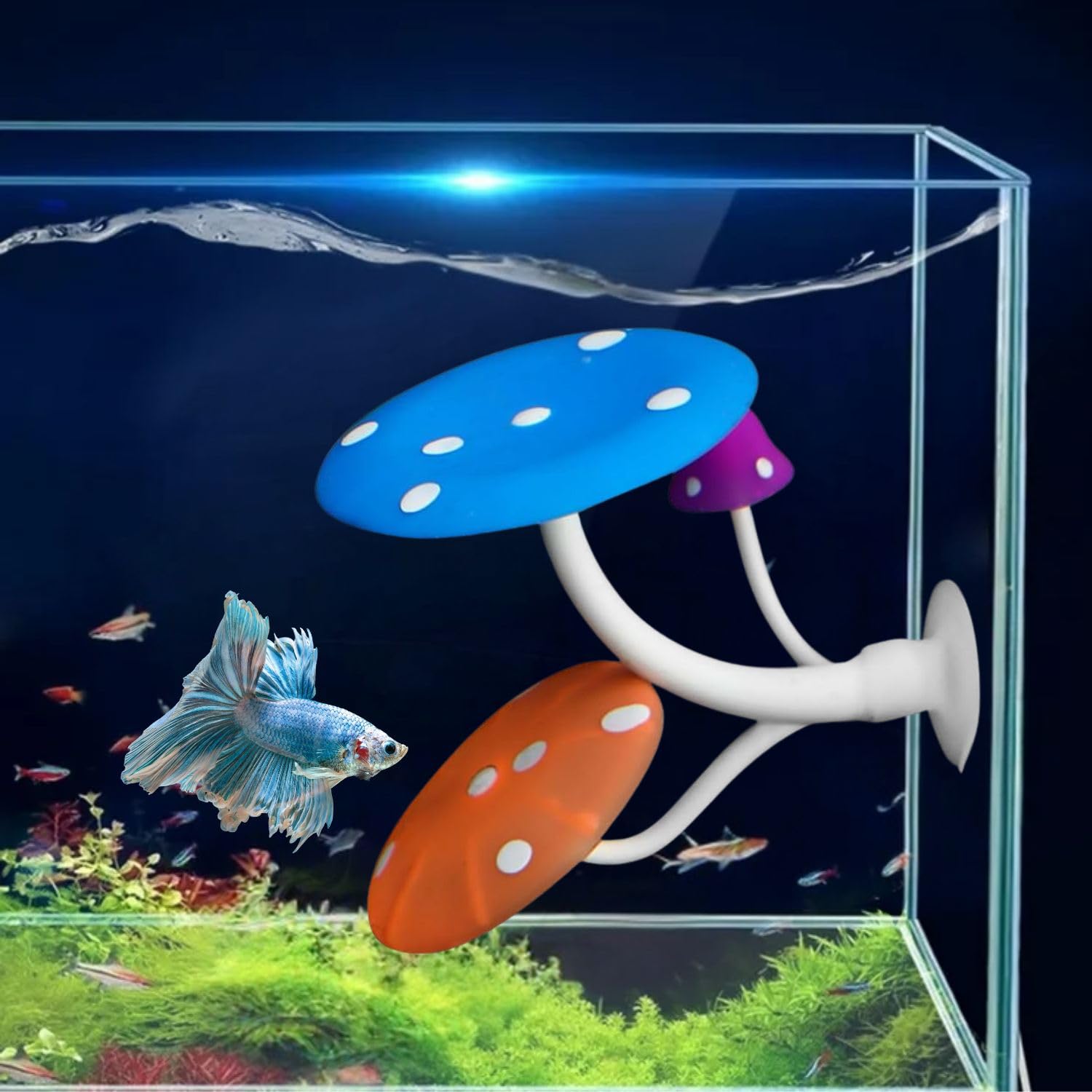 VAYINATO® 1 Pcs Glowing Effect Betta Mushroom Hammock Soft Aquarium Rest Bed Fish Breeding Playing Pad with Suction Cup Silicone Ornament Decoration by Petzlifeworld