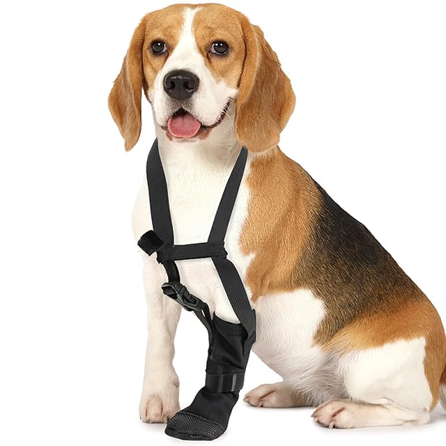 Foto 6 de 8 de YIGZYCN Zapato de recuperación de patas delanteras para perro, transpirable, suave, resistente al agua