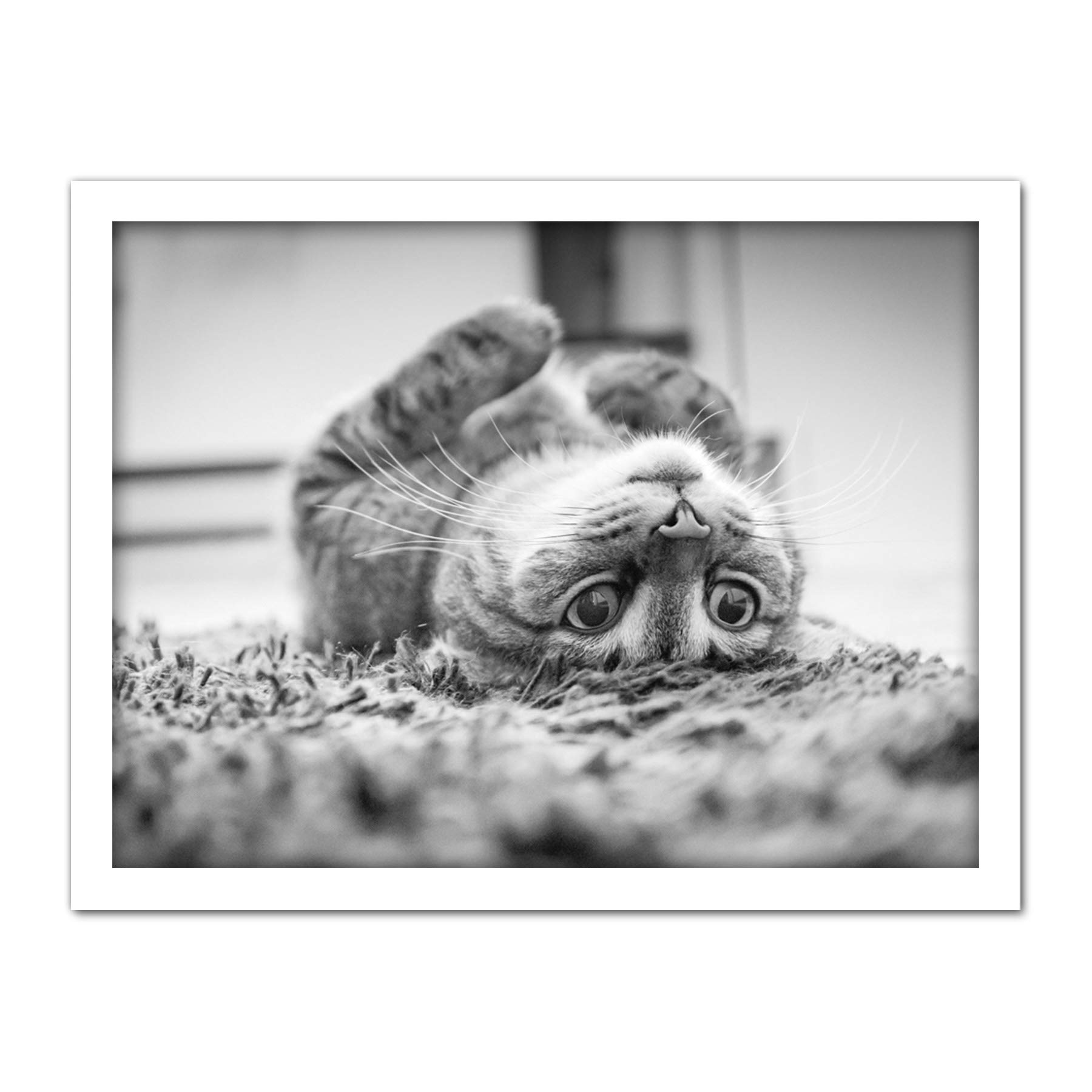 Cat Kitten Lying Upside Down Carpet Black White Photo Artwork Framed Wall Art Print 18X24 Inch