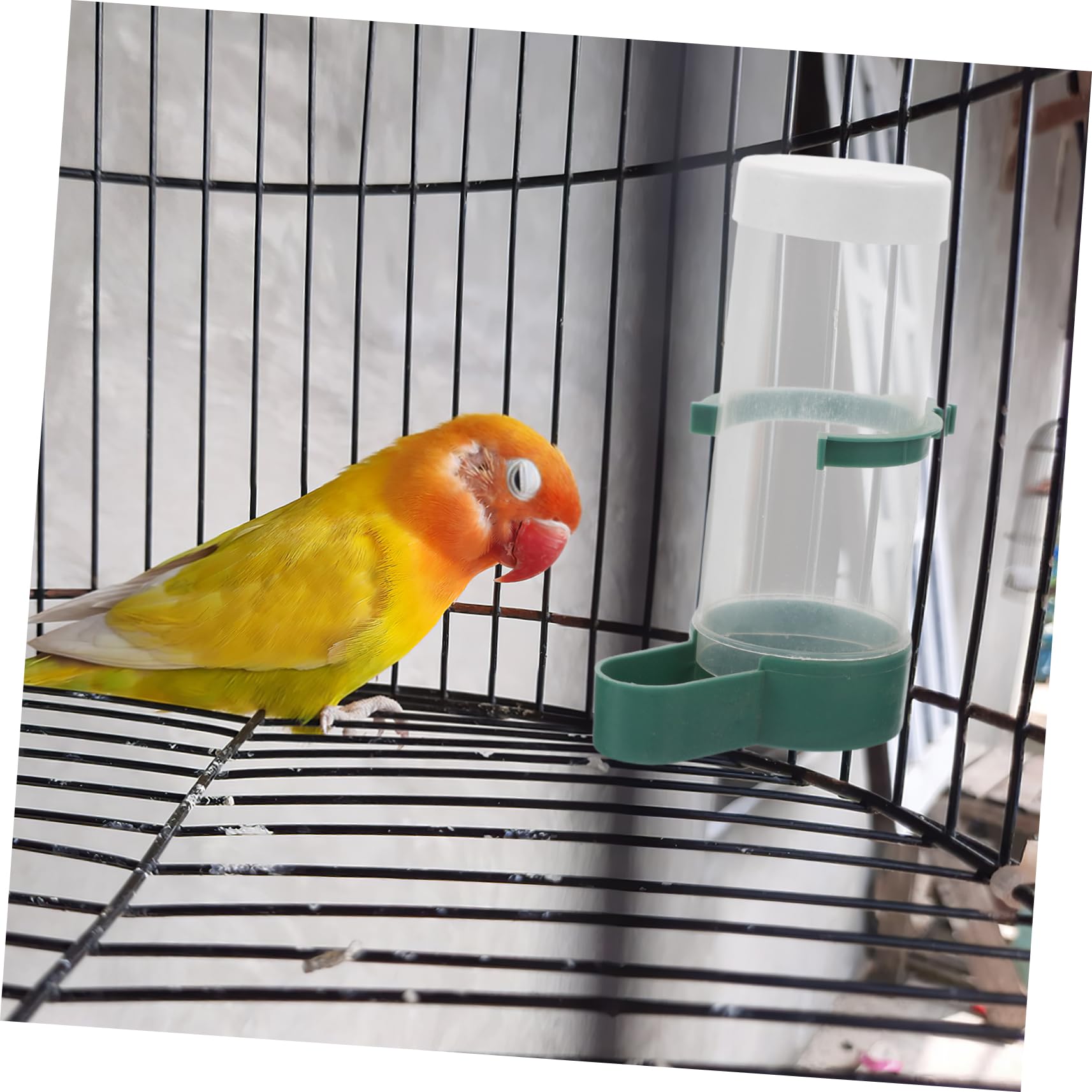 Yardwe 20 Pièces Distributeur Automatique pour Oiseaux Abreuvoir et Nourrisseur pour Perroquets Perruches et Calopsittes Alimentation Pratique pour Cages et